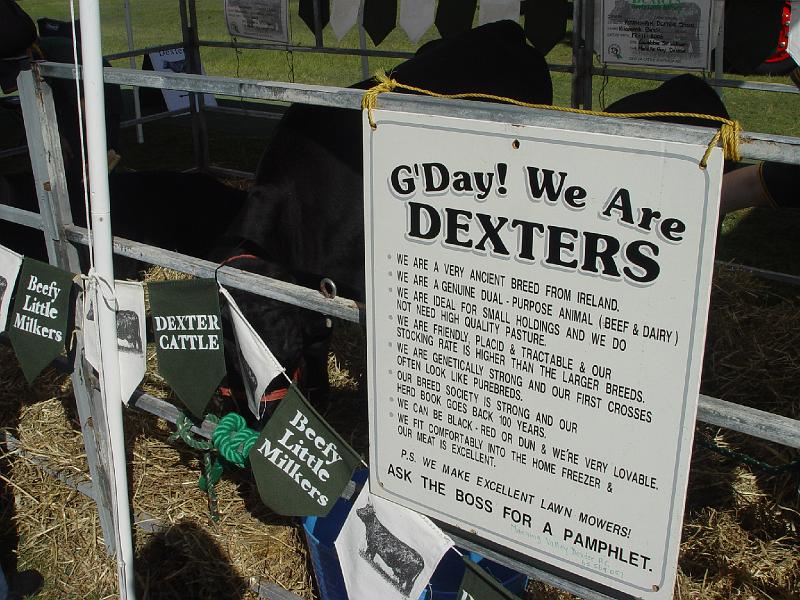 beef-week 027.jpg